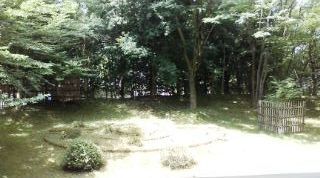 20090712100435.jpg