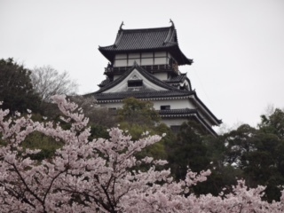 2017-04-10T13:17:08.JPG